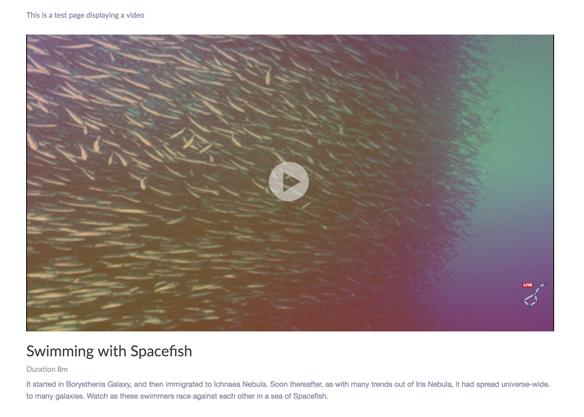 WP 13 - video embedded on page.png
