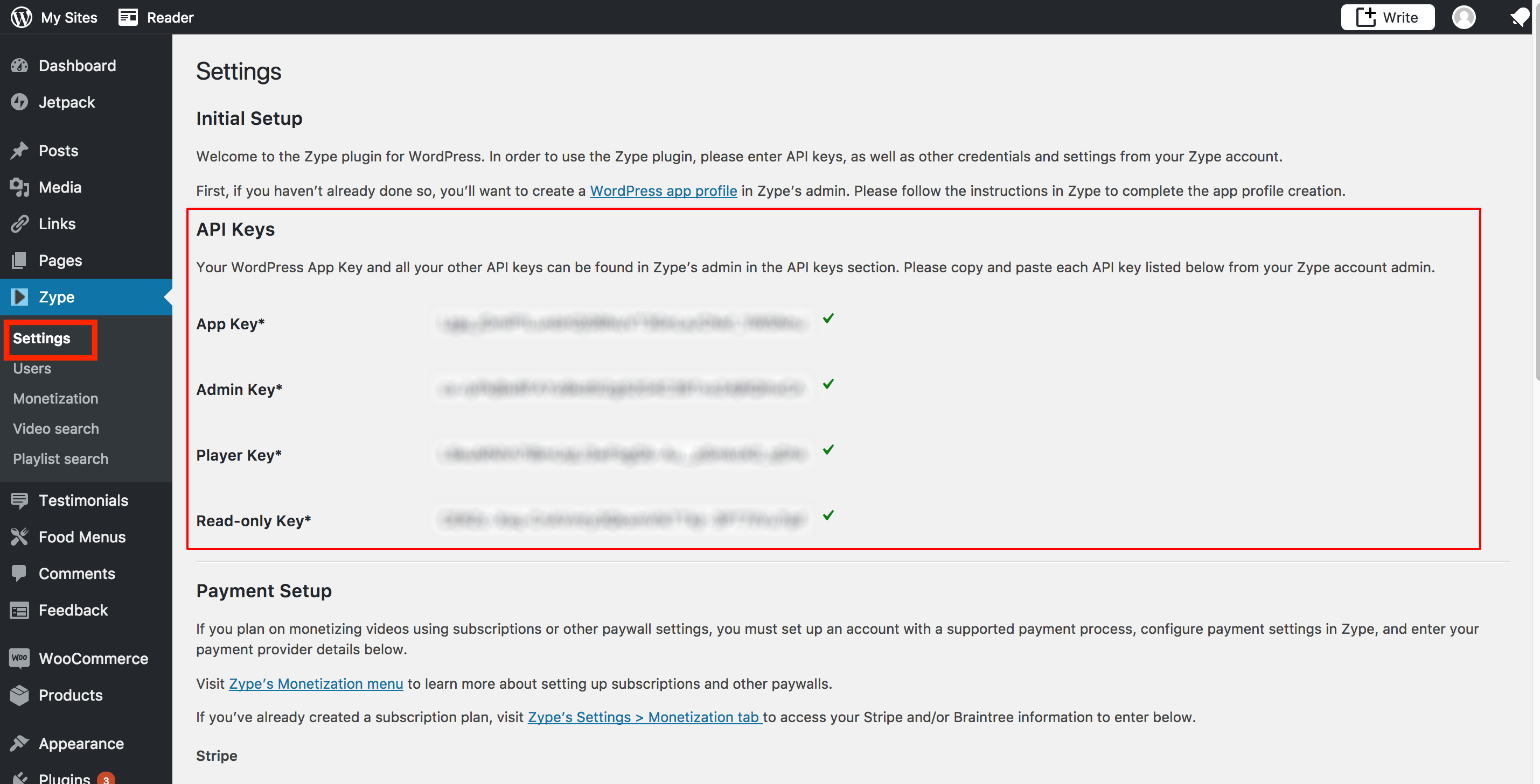 WP 7 - plugin API settings menu-edited.png